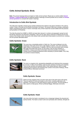 Celtic Animal Symbols: Birds
Note: The animal meanings below are based on Celtic animal symbols. Please see our article entitled Animal
Symbols: Traditional Meanings for traditional western meanings of animal symbols and our article on Chinese
animal symbolism to compare with eastern meanings.

Introduction to Celtic Bird Symbols
The Celts were originally a diverse group of tribes stretching from Ireland in the west to Scotland in the north to
modern Turkey in the east and the Iberian Peninsula in the south. The ancient Celts had a complex, polytheistic
religion emphasizing the power of nature. Eventually many of them fused their ancient beliefs with the practices
and symbolism of Christianity.
The Celts flourished from 500BC to 400AD and were later reduced in numbers and geographic spread by both
the Roman expansion and Germanic immigration. Their rich Iron Age culture continues to influence the art and
culture of the modern world. Among the most utilized Celtic symbols were those based on animal forms, including
the bird symbols delineated below:

Celtic Symbols: Crane
The crane has a remarkable position in Celtic lore. The crane is believed to be the
messenger of the gods and to have a high degree of wisdom. The crane represents
higher states of consciousness. In addition, both the male and female crane incubate
their eggs and protect their young. For this reason, they are also symbolic of
parenthood. Cranes avoid direct confrontation whenever possible, and exhibit a
complex array of threatening behaviors when necessary to prevent battles. Thus, they
are symbolic of peace-keeping.

Celtic Symbols: Duck
The duck is a migratory bird, representing adaptability and instinctual drive necessary
for survival. In Celtic art and beliefs, ducks are also symbols of honesty and simplicity.
They are also sensitive and graceful while in their natural element, which is water,
representing the emotions and indicating their comfort in the world of feelings. (Photo
by David Wilmot, Wikimedia Commons)

Celtic Symbols: Goose
Geese are also migratory birds, but return each year to the same spot in the spring.
They are symbols of home and loyalty to one's home, including nationalism and
patriotism. The goose is in the same family as swans and ducks. The word gander is
often used for a male goose. (Photo by Michael Maggs, Wikimedia Commons)

Celtic Symbols: Hawk
Like many birds, the hawk is considered to be a messenger between the physical and
spiritual worlds. The hawk is a keen hunter and symbolizes skill, boldness, strength (for

 