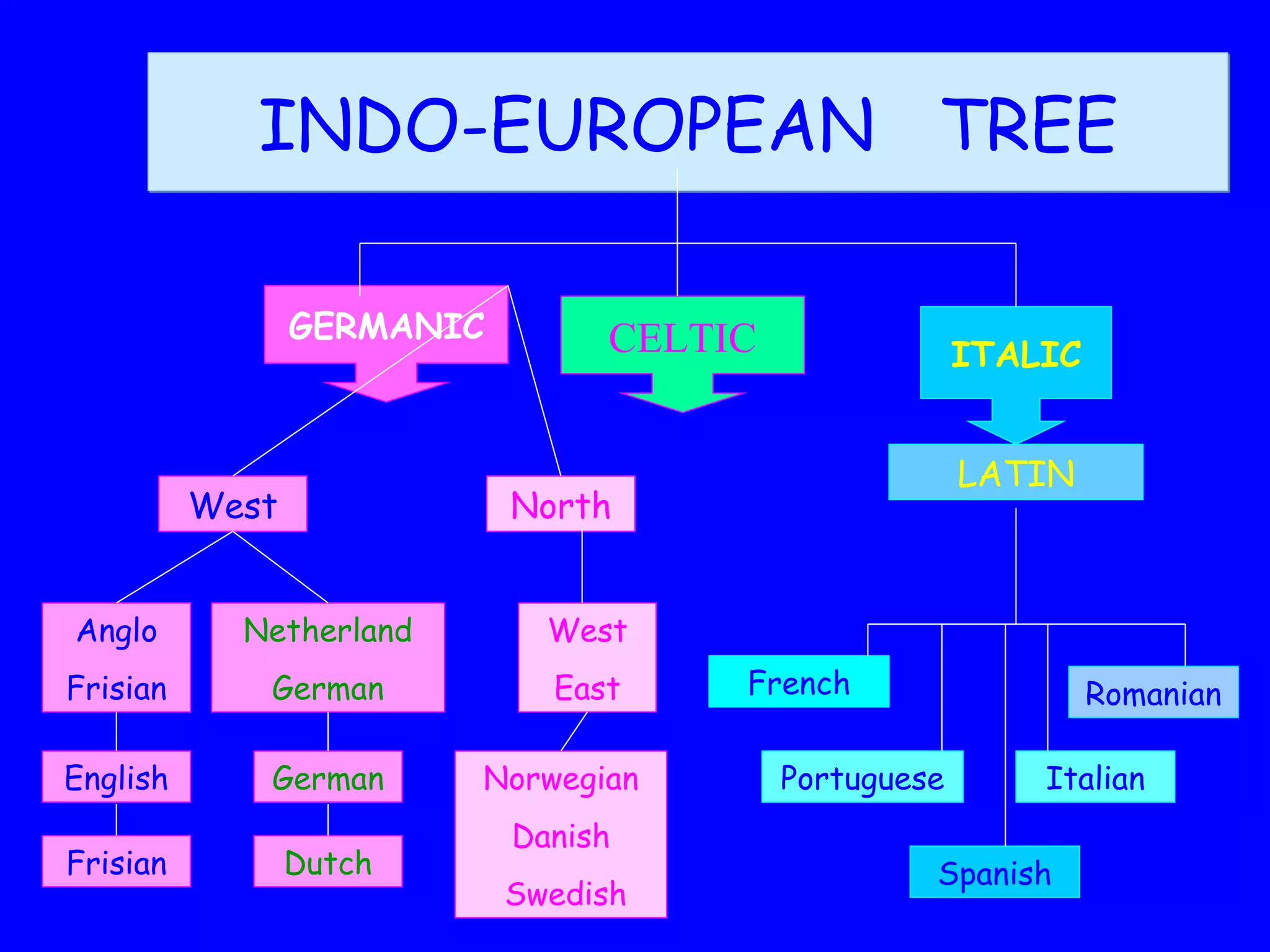 INDO-EUROPEAN TREE GERMANIC ITALIC West LATIN Portuguese Italian Spanish French Romanian North Anglo Frisian English German Netherland German Frisian Dutch West East Norwegian Danish Swedish CELTIC