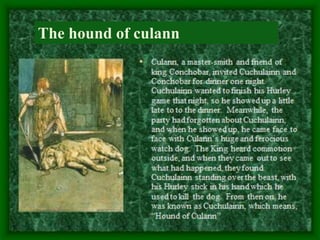 The hound of culann

 