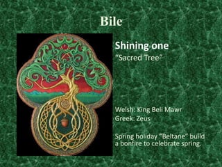 Bile
Shining one
“Sacred Tree”

Welsh: King Beli Mawr
Greek: Zeus
Spring holiday “Beltane” build
a bonfire to celebrate spring.

 