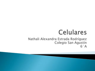 Nathali Alexandra Estrada Rodríguez
                Colegio San Agustín
                                6¨A
 