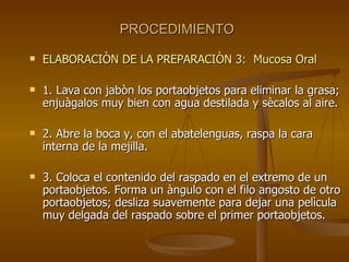 PROCEDIMIENTO ELABORACIÒN DE LA PREPARACIÒN 3:  Mucosa Oral 1. Lava con jabòn los portaobjetos para eliminar la grasa; enjuàgalos muy bien con agua destilada y sècalos al aire. 2. Abre la boca y, con el abatelenguas, raspa la cara interna de la mejilla. 3. Coloca el contenido del raspado en el extremo de un portaobjetos. Forma un àngulo con el filo angosto de otro portaobjetos; desliza suavemente para dejar una pelìcula muy delgada del raspado sobre el primer portaobjetos. 