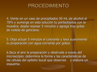 PROCEDIMIENTO 4.  V ierte en un vaso de precipitados  50 mL de alcohol al 70% y sumerge en esta solución tu portaobjetos con la muestra; dejala reposar 5 minutos y agrega tres gotas de violeta de genciana. 5. Deja actuar 5 minutos el colorante y lava suavemente tu preparación con agua corriente por goteo. 6.Seca al aire la preparación y obsérvala a través del microscópio; determina la forma y las características de las células del epitelio bucal que observes  y elabora un esquema. 