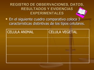 REGISTRO DE OBSERVACIONES, DATOS, RESULTADOS Y EVIDENCIAS EXPERIMENTALES En el siguiente cuadro comparativo coloca 3 caracteristicas distintivas de los tipos celulares. CELULA VEGETAL CELULA ANIMAL 