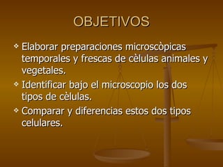 OBJETIVOS Elaborar preparaciones microscòpicas temporales y frescas de cèlulas animales y vegetales. Identificar bajo el microscopio los dos tipos de cèlulas. Comparar y diferencias estos dos tipos celulares. 