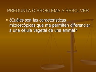 PREGUNTA O PROBLEMA A RESOLVER ¿Cuáles son las caracterìsticas microscòpicas que me permiten diferenciar a una cèlula vegetal de una animal? 