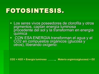 FOTOSINTESIS. Los seres vivos poseedores de clorofila y otros pigmentos, captan energía luminosa procedente del sol y la transforman en energía química  CON ESA ENERGIA transforman el agua y el CO2 en compuestos orgánicos (glucosa y otros), liberando oxígeno:  CO2 + H2O + Energía luminosa   Materia orgánica(glucosa) + O2   
