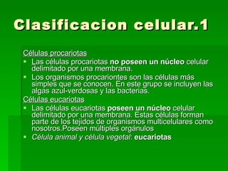 Clasificacion celular.1 Células procariotas L as células procariotas  no poseen un núcleo  celular delimitado por una membrana. Los organismos procariontes son las células más simples que se conocen. En este grupo se incluyen las algas azul-verdosas y las bacterias. Células eucariotas Las células eucariotas  poseen un núcleo  celular delimitado por una membrana. Estas células forman parte de los tejidos de organismos multicelulares como nosotros.Poseen múltiples orgánulos  Célula animal y célula vegetal :  eucariotas 