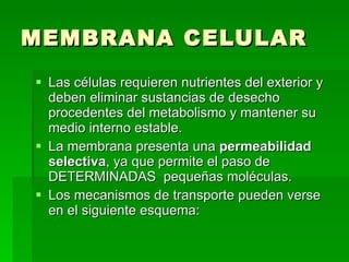 MEMBRANA CELULAR Las células requieren nutrientes del exterior y deben eliminar sustancias de desecho procedentes del metabolismo y mantener su medio interno estable.  La membrana presenta una  permeabilidad selectiva , ya que permite el paso de DETERMINADAS  pequeñas moléculas.  Los mecanismos de transporte pueden verse en el siguiente esquema: 