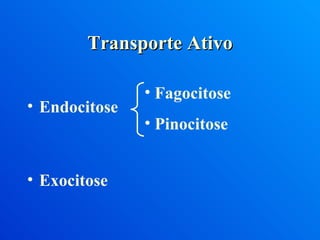 Transporte Ativo Endocitose Exocitose Fagocitose Pinocitose 