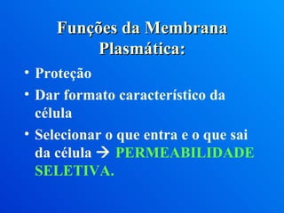 Funções da Membrana Plasmática: Proteção Dar formato característico da célula Selecionar o que entra e o que sai da célula     PERMEABILIDADE SELETIVA. 