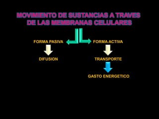 MOVIMIENTO DE SUSTANCIAS A TRAVES DE LAS MEMBRANAS CELULARESFORMA PASIVAFORMA ACTIVADIFUSIONTRANSPORTEGASTO ENERGETICO