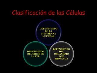 Clasificación de las Células
