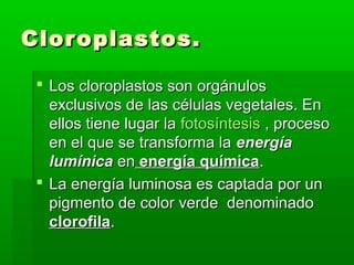 Cloroplastos.Cloroplastos.
 Los cloroplastos son orgánulosLos cloroplastos son orgánulos
exclusivos de las células vegetales. Enexclusivos de las células vegetales. En
ellos tiene lugar laellos tiene lugar la fotosíntesisfotosíntesis , proceso, proceso
en el que se transforma laen el que se transforma la energíaenergía
lumínicalumínica enen energía químicaenergía química..
 La energía luminosa es captada por unLa energía luminosa es captada por un
pigmento de color verde denominadopigmento de color verde denominado
clorofilaclorofila..
 