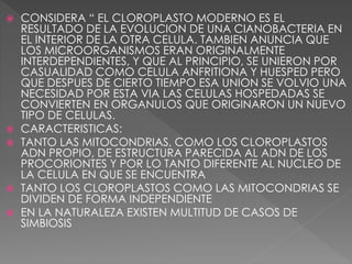  CONSIDERA “ EL CLOROPLASTO MODERNO ES EL
RESULTADO DE LA EVOLUCION DE UNA CIANOBACTERIA EN
EL INTERIOR DE LA OTRA CELULA. TAMBIEN ANUNCIA QUE
LOS MICROORGANISMOS ERAN ORIGINALMENTE
INTERDEPENDIENTES, Y QUE AL PRINCIPIO, SE UNIERON POR
CASUALIDAD COMO CELULA ANFRITIONA Y HUESPED PERO
QUE DESPUES DE CIERTO TIEMPO ESA UNION SE VOLVIO UNA
NECESIDAD POR ESTA VIA LAS CELULAS HOSPEDADAS SE
CONVIERTEN EN ORGANULOS QUE ORIGINARON UN NUEVO
TIPO DE CELULAS.
 CARACTERISTICAS:
 TANTO LAS MITOCONDRIAS, COMO LOS CLOROPLASTOS
ADN PROPIO, DE ESTRUCTURA PARECIDA AL ADN DE LOS
PROCORIONTES Y POR LO TANTO DIFERENTE AL NUCLEO DE
LA CELULA EN QUE SE ENCUENTRA
 TANTO LOS CLOROPLASTOS COMO LAS MITOCONDRIAS SE
DIVIDEN DE FORMA INDEPENDIENTE
 EN LA NATURALEZA EXISTEN MULTITUD DE CASOS DE
SIMBIOSIS
 