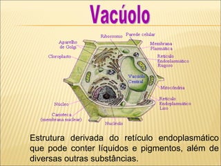 Estrutura derivada do retículo endoplasmático que pode conter líquidos e pigmentos, além de diversas outras substâncias. Vacúolo 