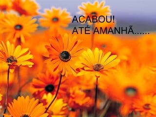 ACABOU! ATÉ AMANHÃ...... 