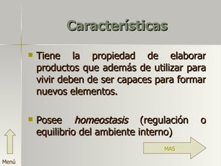 Características Tiene la propiedad de elaborar productos que además de utilizar para vivir deben de ser capaces para formar nuevos elementos. Posee  homeostasis  (regulación o equilibrio del ambiente interno) Menú MAS 