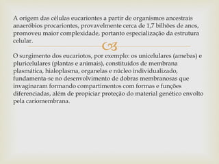 A origem das células eucariontes a partir de organismos ancestrais anaeróbios procariontes, provavelmente cerca de 1,7 bilhões de anos, promoveu maior complexidade, portanto especialização da estrutura celular.  O surgimento dos eucariotos, por exemplo: os unicelulares (amebas) e pluricelulares (plantas e animais), constituídos de membrana plasmática, hialoplasma, organelas e núcleo individualizado, fundamenta-se no desenvolvimento de dobras membranosas que invaginaram formando compartimentos com formas e funções diferenciadas, além de propiciar proteção do material genético envolto pela cariomembrana. 