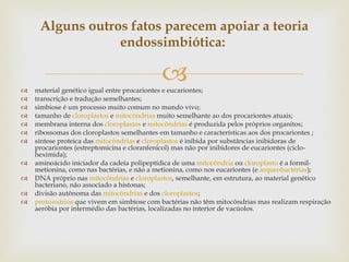 material genético igual entre procariontes e eucariontes;  transcrição e tradução semelhantes;  simbiose é um processo muito comum no mundo vivo;  tamanho de  cloroplastos  e  mitocôndrias  muito semelhante ao dos procariontes atuais;  membrana interna dos  cloroplastos  e  mitocôndrias  é produzida pelos próprios organitos;  ribossomas dos cloroplastos semelhantes em tamanho e características aos dos procariontes ;  síntese proteica das  mitocôndrias  e  cloroplastos  é inibida por substâncias inibidoras de procariontes (estreptomicina e cloranfenicol) mas não por inibidores de eucariontes (ciclo-heximida);  aminoácido iniciador da cadeia polipeptídica de uma  mitocôndria  ou  cloroplasto  é a formil-metionina, como nas bactérias, e não a metionina, como nos eucariontes (e  arqueobactérias );  DNA próprio nas  mitocôndrias  e  cloroplastos , semelhante, em estrutura, ao material genético bacteriano, não associado a histonas;  divisão   autônoma das  mitocôndrias  e dos  cloroplastos ;  protozoários  que vivem em simbiose com bactérias não têm mitocôndrias mas realizam respiração aeróbia por intermédio das bactérias, localizadas no interior de vacúolos.  Alguns outros fatos parecem apoiar a teoria endossimbiótica:  