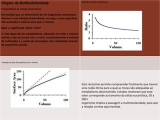 Origem da Multicelularidade A Importância da relação área/volume Há medida que as dimensões de um organismo aumentam, diminui a sua relação área/volume, ou seja, a sua superfície não aumenta à mesma taxa que o volume. Qual o significado deste fato?  A vida depende do metabolismo, efetuado em todo o volume celular, mas as trocas com o meio, nomeadamente a entrada de nutrientes e a saída de excreções, são realizadas através da superfície celular.  Variação da razão área/volume  Variação da área de superfície com o volume Este raciocínio permite compreender facilmente que haverá uma razão ótima para a qual as trocas são adequadas ao metabolismo desenvolvido. Estudos revelaram que esse valor corresponde ao tamanho da célula eucariótica, 50 a 500 m. A partir deste valor o aumento de tamanho de um organismo implica a passagem a multicelularidade, para que a relação correta seja mantida.    