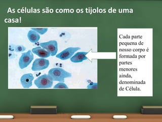 As célulassãocomoostijolos de uma casa!Cada parte pequena de nosso corpo é formada por partes menores ainda, denominada de Célula.