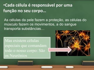 Cadacélulaéresponsávelporumafunção no seucorpo…As células da pele fazem a proteção, as células do músculo fazem os movimentos, a do sangue transporta substâncias…Mas existem células especiais que comandam todo o nosso corpo: São os Neurônios