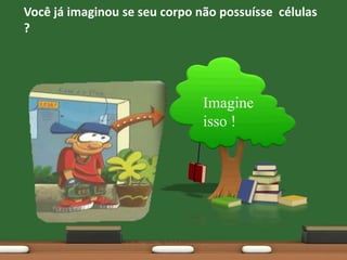 Pela nossa memória.