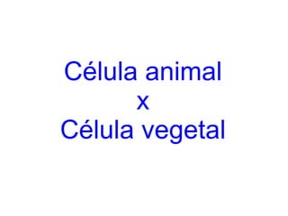 Célula animal x Célula vegetal 