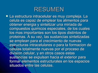 RESUMEN La estructura intracelular es muy compleja. La celula es capaz de emplear los alimentos para obtener energia y sintetizar una miriada de compuestos quimicos especiales, de los cuales los mas importantes son los tipos distintos de proteinas. A su vez, las sustancias sintetizadas se emplean para el crecimiento de nuevas estructuras intracelulares o para la formacion de celulas totalmente nuevas por el proceso de division celular, y en otros casos estas sustancias se expulsan hacia el exterior para formar elementos estructurales en los espacios situados entre las celulas. 