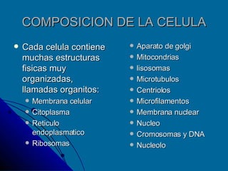 COMPOSICION DE LA CELULA Cada celula contiene muchas estructuras fisicas muy organizadas, llamadas organitos: Membrana celular Citoplasma  Reticulo endoplasmatico Ribosomas  Aparato de golgi Mitocondrias  lisosomas Microtubulos  Centriolos  Microfilamentos  Membrana nuclear  Nucleo  Cromosomas y DNA Nucleolo  