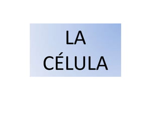 LA
CÉLULA
 