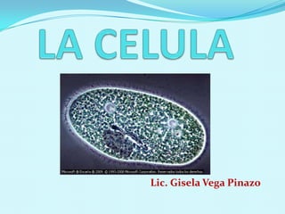 Lic. Gisela Vega Pinazo
 