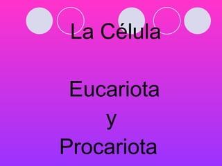 La Célula  Eucariota  y  Procariota  