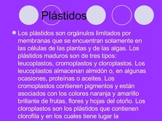 Plástidos Los plástidos son orgánulos limitados por membranas que se encuentran solamente en las células de las plantas y de las algas. Los plástidos maduros son de tres tipos: leucoplastos, cromoplastos y cloroplastos. Los leucoplastos almacenan almidón o, en algunas ocasiones, proteínas o aceites. Los cromoplastos contienen pigmentos y están asociados con los colores naranja y amarillo brillante de frutas, flores y hojas del otoño. Los cloroplastos son los plástidos que contienen clorofila y en los cuales tiene lugar la fotosíntesis.   