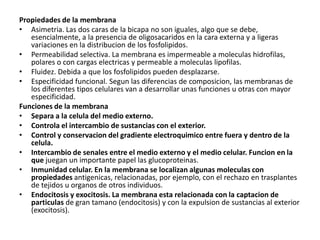 Propiedades de la membrana
• Asimetria. Las dos caras de la bicapa no son iguales, algo que se debe,
   esencialmente, a la presencia de oligosacaridos en la cara externa y a ligeras
   variaciones en la distribucion de los fosfolipidos.
• Permeabilidad selectiva. La membrana es impermeable a moleculas hidrofilas,
   polares o con cargas electricas y permeable a moleculas lipofilas.
• Fluidez. Debida a que los fosfolipidos pueden desplazarse.
• Especificidad funcional. Segun las diferencias de composicion, las membranas de
   los diferentes tipos celulares van a desarrollar unas funciones u otras con mayor
   especificidad.
Funciones de la membrana
• Separa a la celula del medio externo.
• Controla el intercambio de sustancias con el exterior.
• Control y conservacion del gradiente electroquimico entre fuera y dentro de la
   celula.
• Intercambio de senales entre el medio externo y el medio celular. Funcion en la
   que juegan un importante papel las glucoproteinas.
• Inmunidad celular. En la membrana se localizan algunas moleculas con
   propiedades antigenicas, relacionadas, por ejemplo, con el rechazo en trasplantes
   de tejidos u organos de otros individuos.
• Endocitosis y exocitosis. La membrana esta relacionada con la captacion de
   particulas de gran tamano (endocitosis) y con la expulsion de sustancias al exterior
   (exocitosis).
 