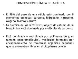 COMPOSICIÓN QUÍMICA DE LA CÉLULA.


• El 99% del peso de una célula está dominado por 6
  elementos químicos: carbono, hidrógeno, nitrógeno,
  oxígeno, fósforo y azufre.
• La química de los seres vivos, objeto de estudio de la
  bioquímica, está dominada por moléculas de carbono.

• Está dominada y coordinada por polímeros de gran
  tamaño (macromoléculas), moléculas formadas por
  encadenamiento de moléculas orgánicas pequeñas
  que se encuentran libres en el citoplasma celular.
 