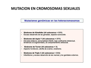 MUTACION EN CROMOSOMAS SEXUALES
 