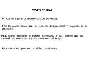 TEORIA CELULAR


   Todos los organismos están constituidos por células.


  En las células tienen lugar las funciones de alimentación y excreción de un
organismo.


  Las células contienen el material hereditario, el cual permite que las
características de una célula madre pasen a una célula hija.



   Las células solo provienen de células pre-existentes.
 