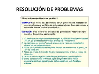 RESOLUCIÓN DE PROBLEMAS
 