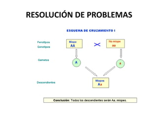 RESOLUCIÓN DE PROBLEMAS
 