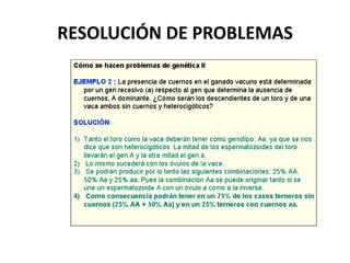RESOLUCIÓN DE PROBLEMAS
 
