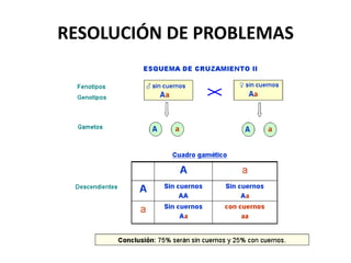 RESOLUCIÓN DE PROBLEMAS
 