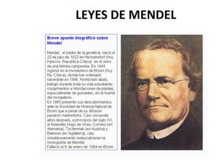 LEYES DE MENDEL
 