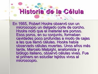 Historia de la Célula
En 1665, Robert Hooke observó con un
  microscopio un delgado corte de corcho.
  Hooke notó que el material era poroso.
  Esos poros, en su conjunto, formaban
  cavidades poco profundas a modo de cajas
  a las que llamó células. Hooke había
  observado células muertas. Unos años más
  tarde, Marcelo Malpighi, anatomista y
  biólogo italiano, observó células vivas. Fue
  el primero en estudiar tejidos vivos al
  microscopio.
 