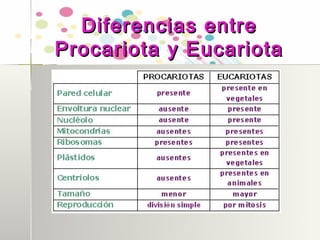 Diferencias entre
Procariota y Eucariota
 