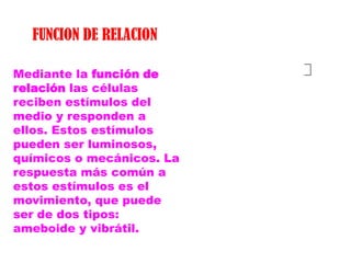 FUNCION DE RELACION

Mediante la función de
relación las células
reciben estímulos del
medio y responden a
ellos. Estos estímulos
pueden ser luminosos,
químicos o mecánicos. La
respuesta más común a
estos estímulos es el
movimiento, que puede
ser de dos tipos:
ameboide y vibrátil.
 