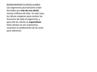 B)ORGANISMOS PLURICELULARES:
Los organismos pluricelulares están
formados por más de una célula,
incluso millones de ellas. En este caso,
las células cooperan para realizar las
funciones de todo el organismo, y
para ello las células se especializan.
Estas células no son autónomas,
necesitan la colaboración de las otras
para sobrevivir.
 