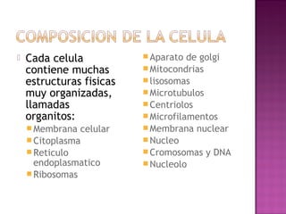    Cada celula            Aparato  de golgi
    contiene muchas        Mitocondrias
    estructuras fisicas    lisosomas
    muy organizadas,       Microtubulos
    llamadas               Centriolos
    organitos:             Microfilamentos
     Membrana  celular    Membrana nuclear
     Citoplasma           Nucleo
     Reticulo             Cromosomas y DNA
      endoplasmatico       Nucleolo
     Ribosomas
 