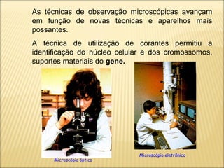 As técnicas de observação microscópicas avançam
em função de novas técnicas e aparelhos mais
possantes.
A técnica de utilização de corantes permitiu a
identificação do núcleo celular e dos cromossomos,
suportes materiais do gene.




                             Microscópio eletrônico
      Microscópio óptico
 